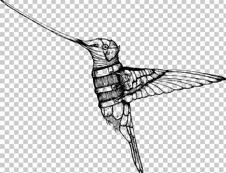 Hummingbird Drawing Beak PNG, Clipart, Animals, Art, Artwork, Black And White, Body Jewelry Free PNG Download