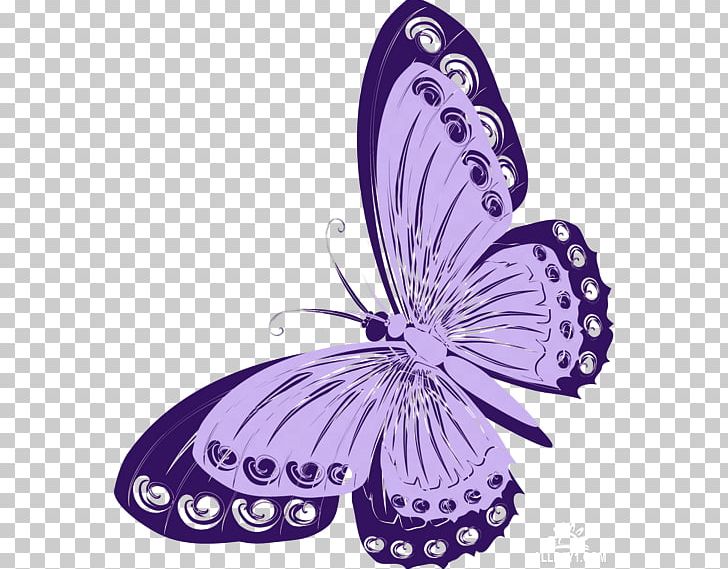 Monarch Butterfly Nymphalidae PNG, Clipart, Arthropod, Brush Footed Butterfly, Butterflies And Moths, Butterfly, Flower Free PNG Download