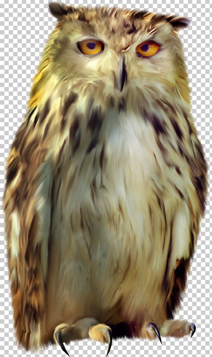 Tawny Owl Bird Icon PNG, Clipart, Animal, Animals, Beak, Bird, Bird Of Prey Free PNG Download