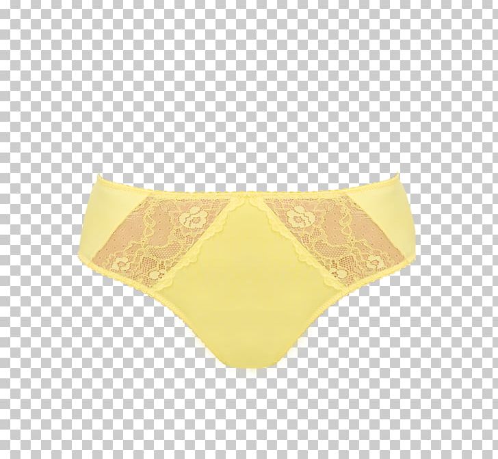 Thong Panties Underpants Undergarment Lingerie PNG, Clipart, Active Undergarment, Briefs, Lace Bra, Lingerie, Others Free PNG Download