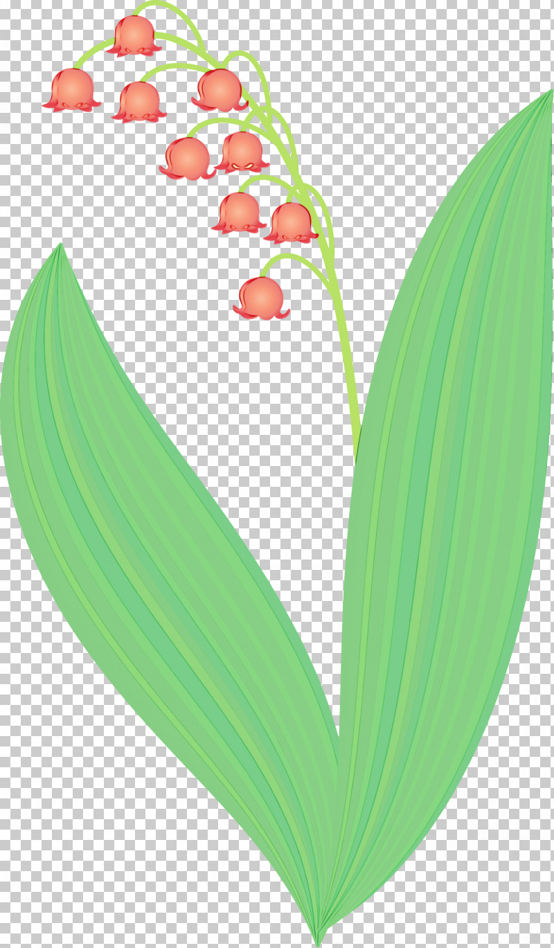Lily Of The Valley Flower Leaf Plant Heart PNG, Clipart, Flower, Heart, Leaf, Lily Bell, Lily Of The Valley Free PNG Download