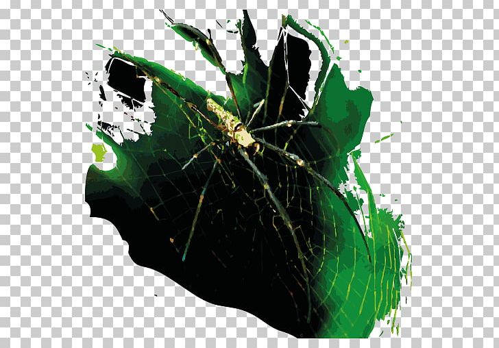 Belum-Temengor Temenggor Lake Pulau Banding Foundation Forest Leaf PNG, Clipart, 1000000, Computer Software, Democratic Republic Of The Congo, Forest, Graphic Design Free PNG Download