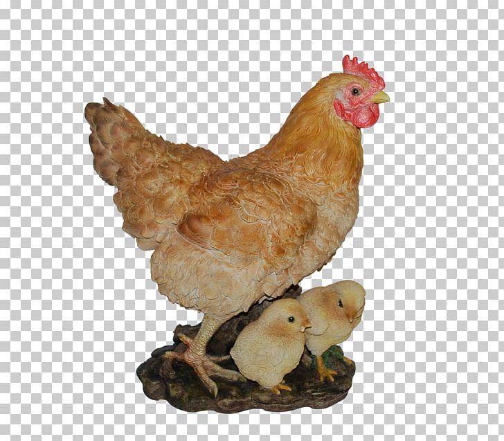 Chicken Livestock Farm Galliformes Bird PNG, Clipart, Animal, Animals, Barn, Beak, Bird Free PNG Download