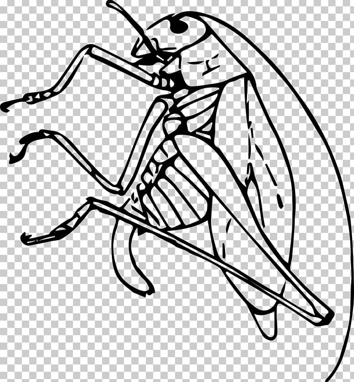 Public Domain Black And White PNG, Clipart, Animal, Art, Artwork, Black And White, Cicadidae Free PNG Download