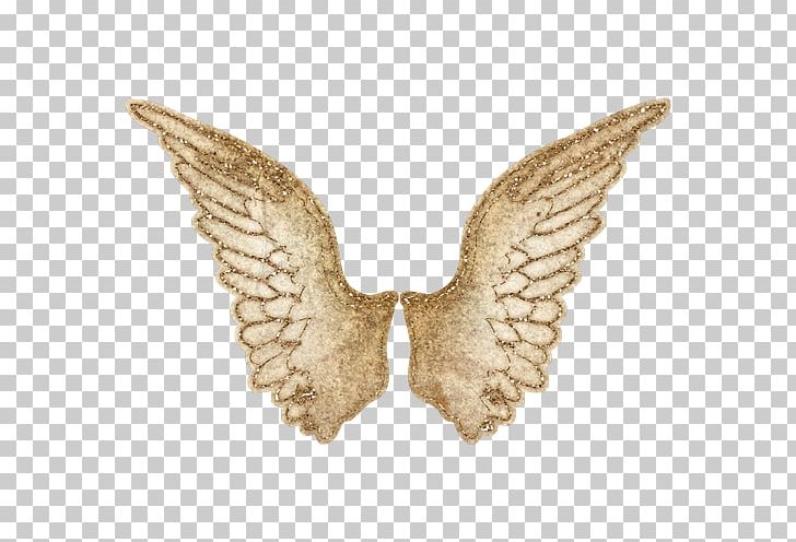 Wing PNG, Clipart, Butterfly, Computer Graphics, Computer Icons, Discovery, Download Free PNG Download