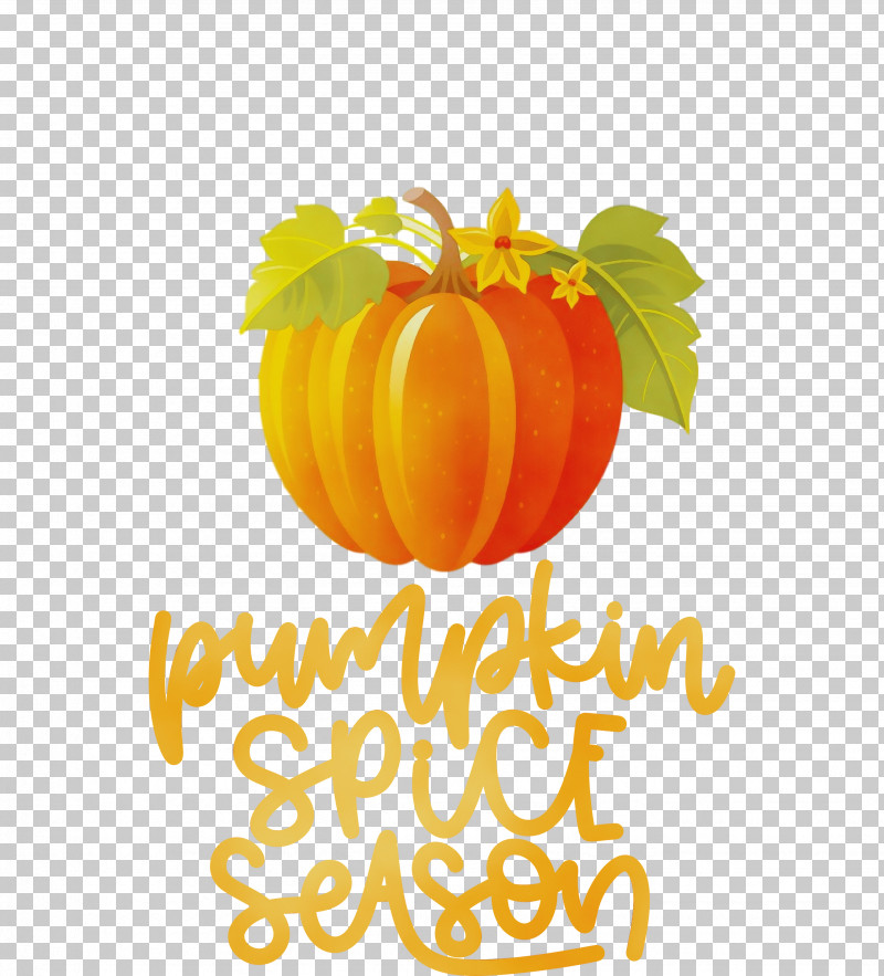 Winter Squash Calabaza Squash Natural Food Logo PNG, Clipart, Autumn, Calabaza, Flower, Fruit, Logo Free PNG Download