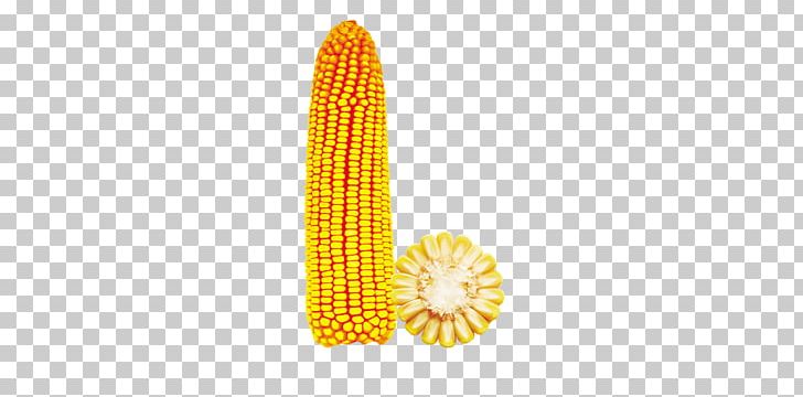 Corn On The Cob Yellow Maize Corncob PNG, Clipart, Autumn, Autumn Harvest, B Boy, Cartoon Corn, Commodity Free PNG Download