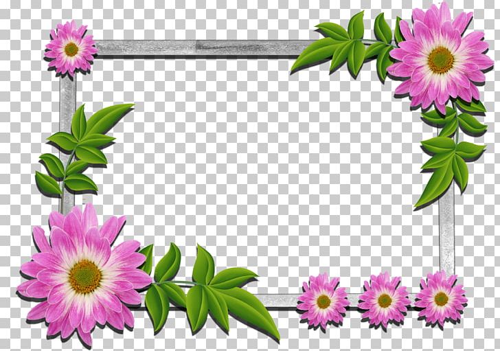 Frames Flower Floral Design PNG, Clipart, Annual Plant, Chrysanths, Cut Flowers, Daisy, Daisy Family Free PNG Download