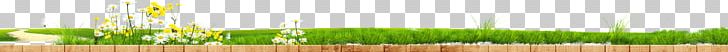 Wheatgrass Green Water Close-up PNG, Clipart, Artificial Grass, Background, Background Material, Cartoon Grass, Closeup Free PNG Download
