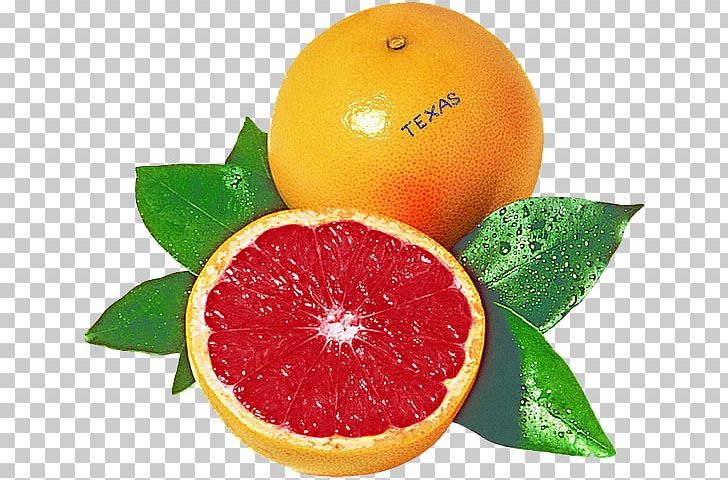 Blood Orange Grapefruit Juice Rangpur Tangelo PNG, Clipart, Bitter Orange, Blo, Citric Acid, Citrus, Citrus Junos Free PNG Download
