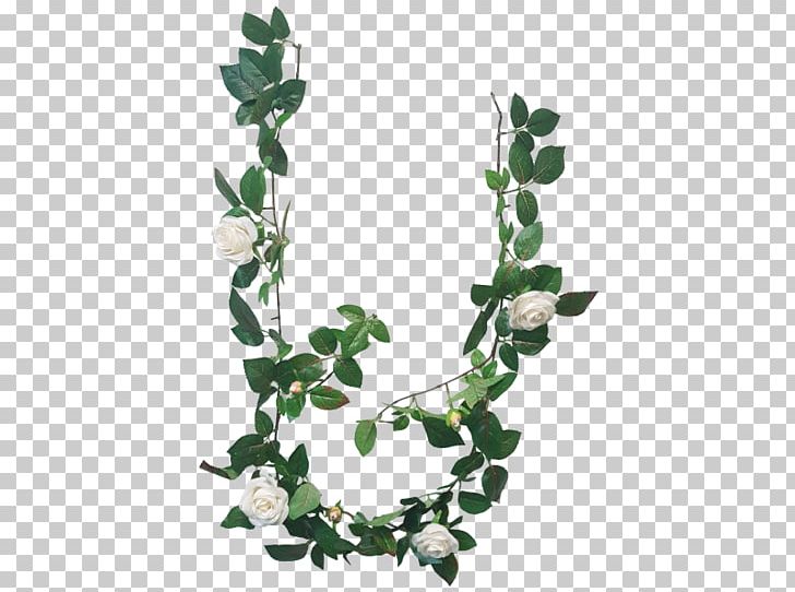 Branch Twig Plant Stem Leaf PNG, Clipart, Branch, Flora, Flowering Plant, Food Drinks, Ivy Free PNG Download