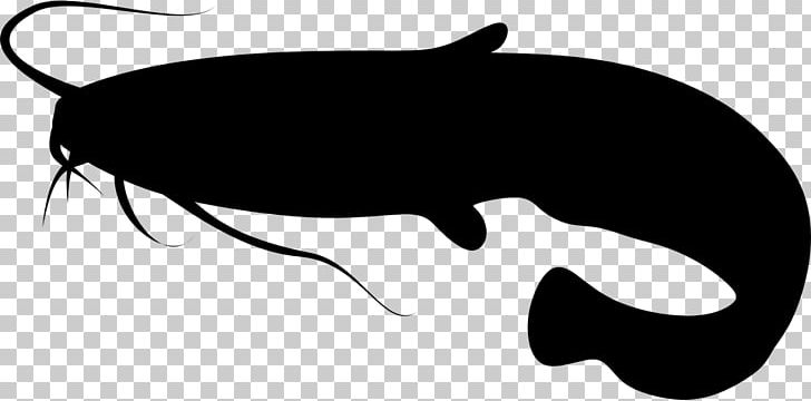 Catfish Drawing PNG, Clipart, Agriculture, Artwork, Black, Black And White, Blue Catfish Free PNG Download