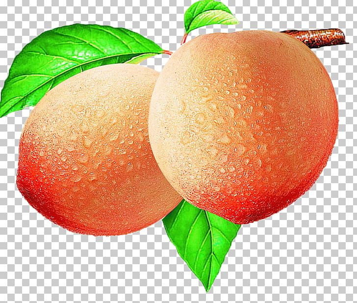 Peach Illustration PNG, Clipart, Apple, Auglis, Citrus, Diet Food, Download Free PNG Download