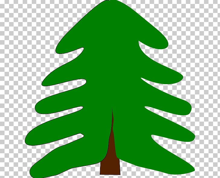 Tree Evergreen Pine PNG, Clipart, Cartoon, Conifer, Drawing, Evergreen, Fir Free PNG Download