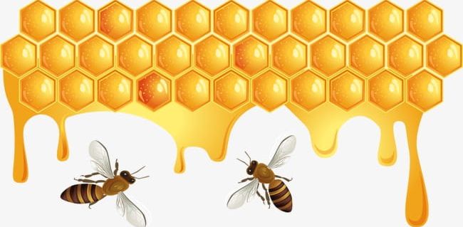Bees And Honeycomb PNG, Clipart, Animal, Bee, Bees Clipart, Bees Clipart, Collecting Free PNG Download