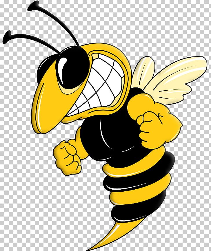 Georgia Tech Yellow Jackets Football Bobby Dodd Stadium Georgia Tech Yellow Jackets Baseball Georgia Tech Yellow Jackets Women's Basketball Buzz PNG, Clipart,  Free PNG Download
