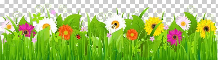 Grass With Flowers And Bee PNG, Clipart, Bee, Blog, Clipart, Computer Wallpaper, Flower Free PNG Download