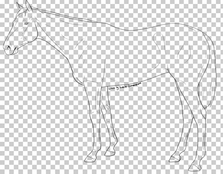 Mule Foal Halter Stallion Colt PNG, Clipart, Animal Figure, Arm, Artwork, Black And White, Bridle Free PNG Download