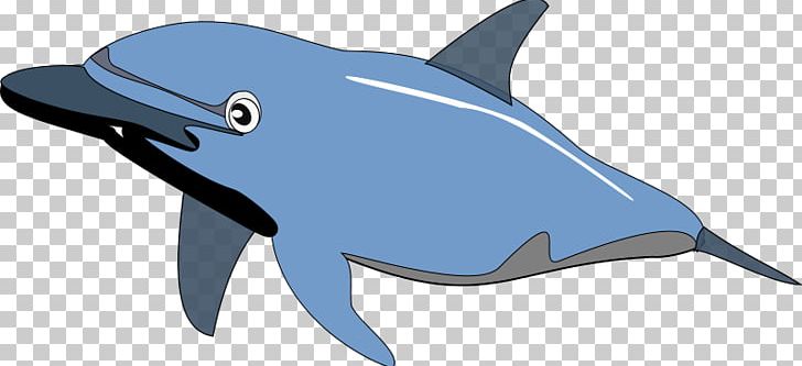 Spinner Dolphin PNG, Clipart, Bottlenose Dolphin, Common Bottlenose Dolphin, Dolphin, Download, Fauna Free PNG Download