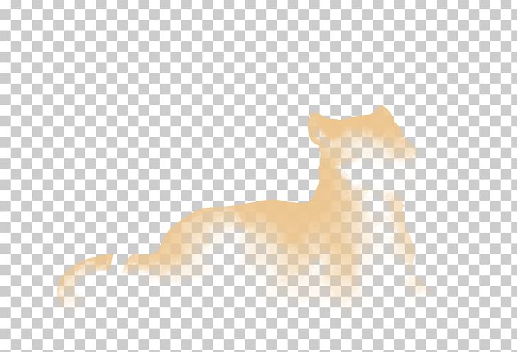 Whiskers Cat Dog Snout Desktop PNG, Clipart, Animals, Canidae, Carnivoran, Cat, Cat Like Mammal Free PNG Download