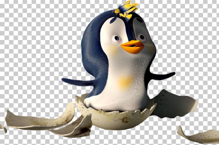 Penguin Bird PNG, Clipart, Animal, Animals, Animation, Antarctica, Beak Free PNG Download