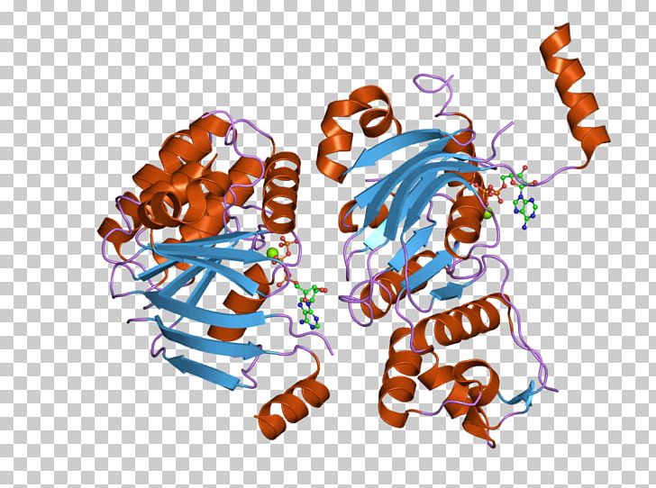 Cystic Fibrosis Transmembrane Conductance Regulator ΔF508 Gene Membrane Protein Chloride Channel PNG, Clipart, Art, Bbt, Chloride, Chloride Channel, Chromosome 7 Free PNG Download