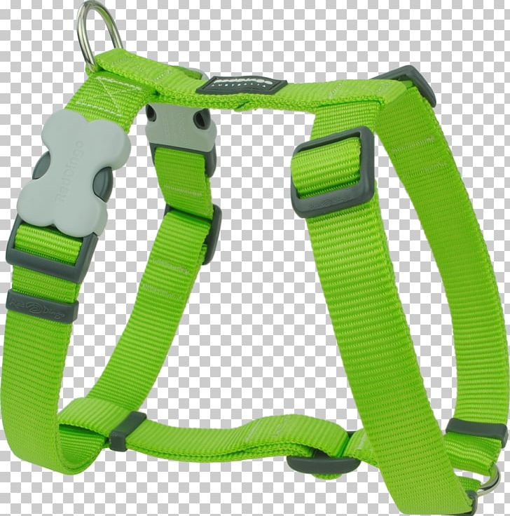 Dog Harness Dingo Puppy Dog Collar PNG, Clipart, Animals, Climbing Harness, Collar, Dingo, Dog Free PNG Download