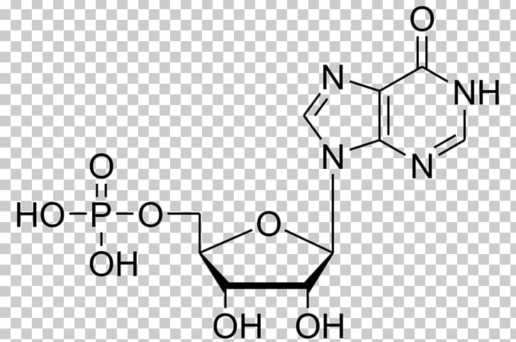 Inosinic Acid Adenosine Monophosphate Deoxyuridine Monophosphate Guanosine Monophosphate PNG, Clipart, Acid, Adenosine Monophosphate, Angle, Area, Black And White Free PNG Download