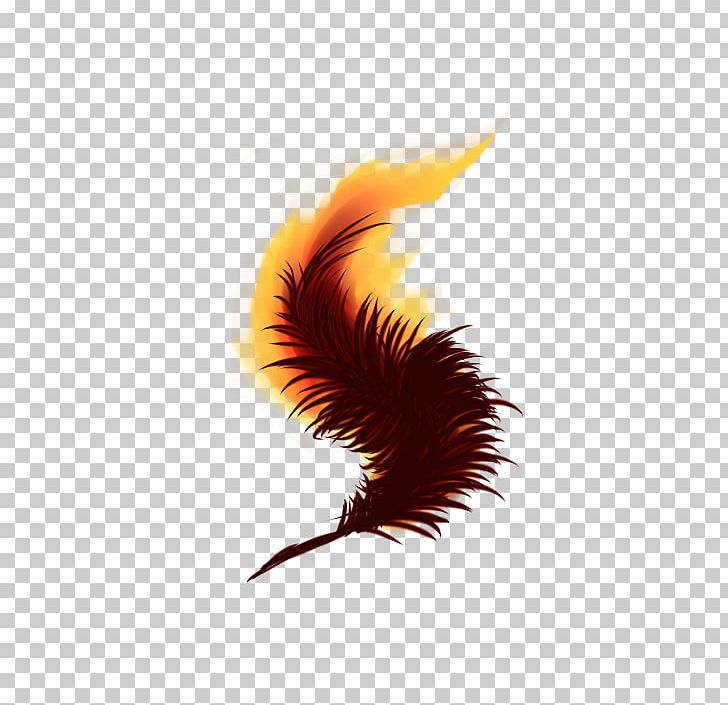 Phoenix Fenghuang Fan Art PNG, Clipart, Art, Beak, Closeup, Computer Wallpaper, Cutie Mark Crusaders Free PNG Download