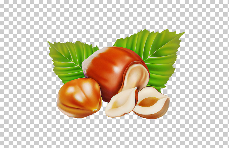 Hazelnut Chestnut Food Nut Nuts & Seeds PNG, Clipart, Chestnut, Cuisine, Food, Hazelnut, Ingredient Free PNG Download
