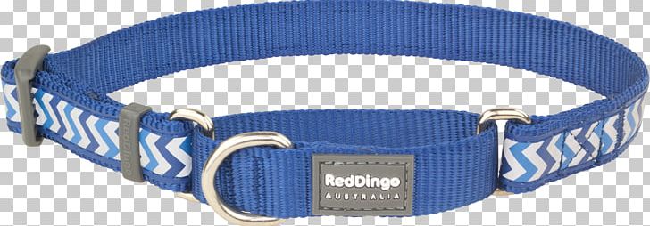 Dog Collar Dingo Cat PNG, Clipart, Blue, Cat, Choker, Cobalt Blue, Collar Free PNG Download