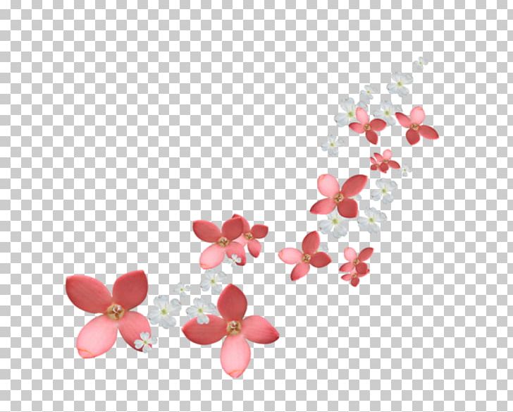 Garden Roses Flower PNG, Clipart, Art, Blossom, Cherry Blossom, Cut Flowers, English Roses Free PNG Download