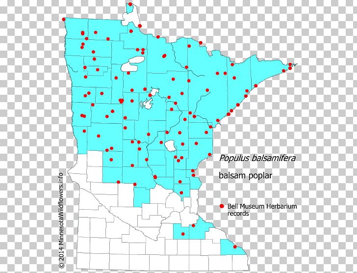 Line Point Map Tuberculosis PNG, Clipart, Area, Art, Diagram, Line, Map Free PNG Download