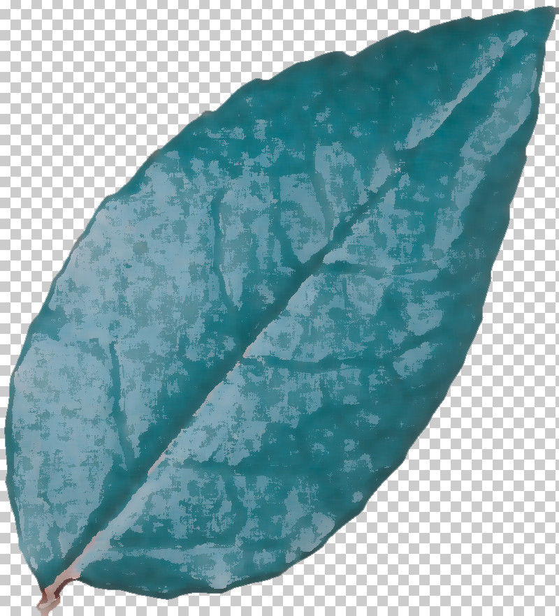 Leaf Turquoise Science Biology Plant Structure PNG, Clipart, Biology, Leaf, Plants, Plant Structure, Science Free PNG Download