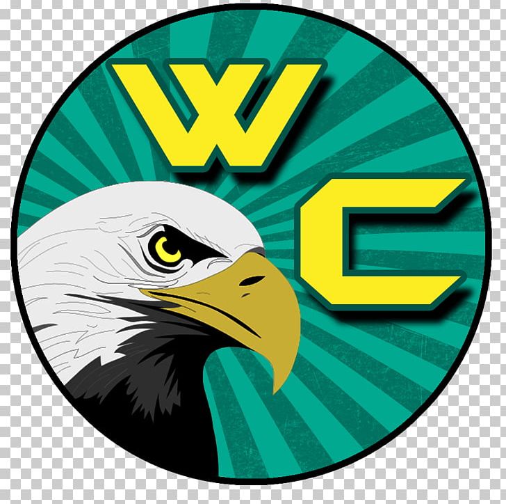 Bald Eagle Beak Logo PNG, Clipart, Animals, Bald Eagle, Beak, Bird, Bird Of Prey Free PNG Download
