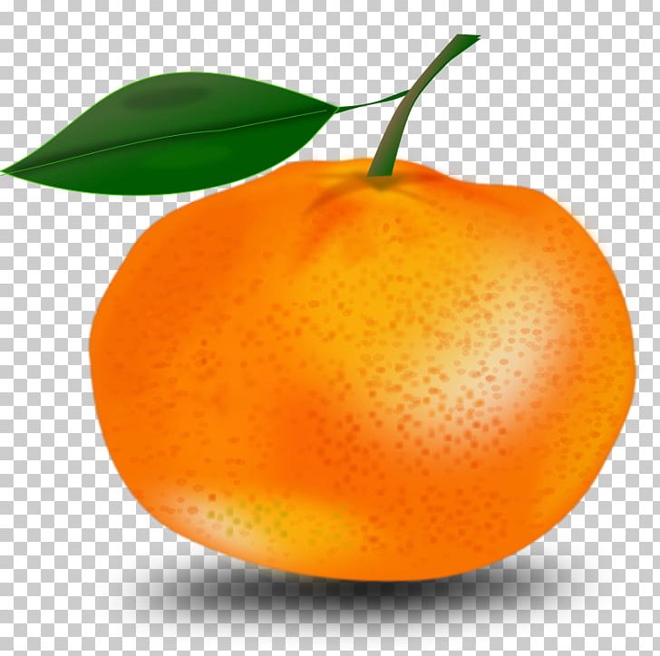 Orange Free Content PNG, Clipart, Bitter Orange, Citric Acid, Citrus, Clementine, Computer Icons Free PNG Download