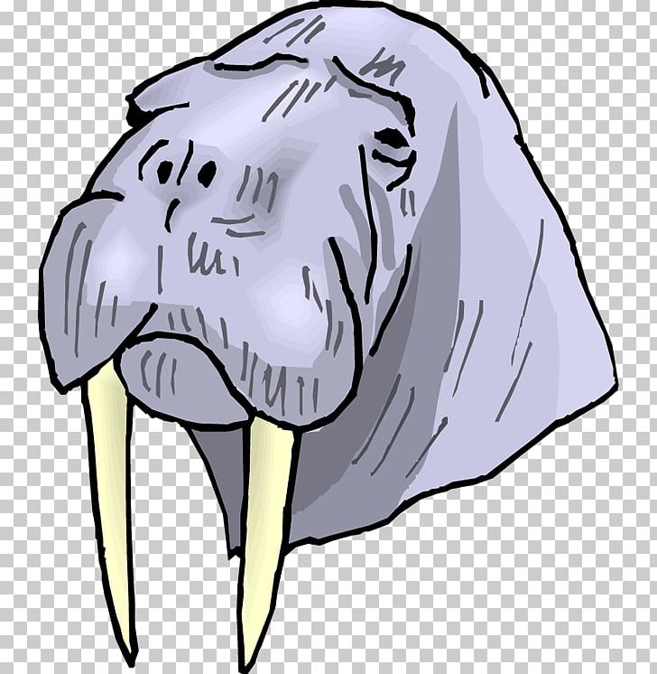 Walrus Tusk PNG, Clipart, Carnivoran, Cartoon, Dog Like Mammal, Download, Drawing Free PNG Download