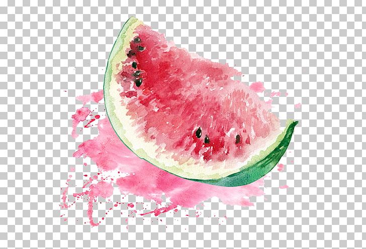 Watermelon Watercolor Painting PNG, Clipart, Attractive, Auglis, Citrullus, Color, Cucumber Gourd And Melon Family Free PNG Download