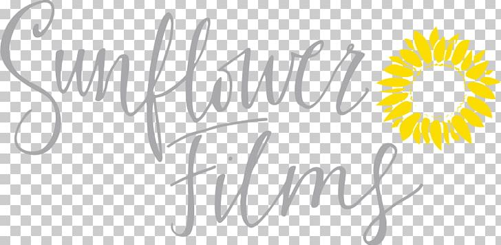 Wedding Videography Videographer Film PNG, Clipart, Area, Arkansas, Brand, Calligraphy, Conway Free PNG Download
