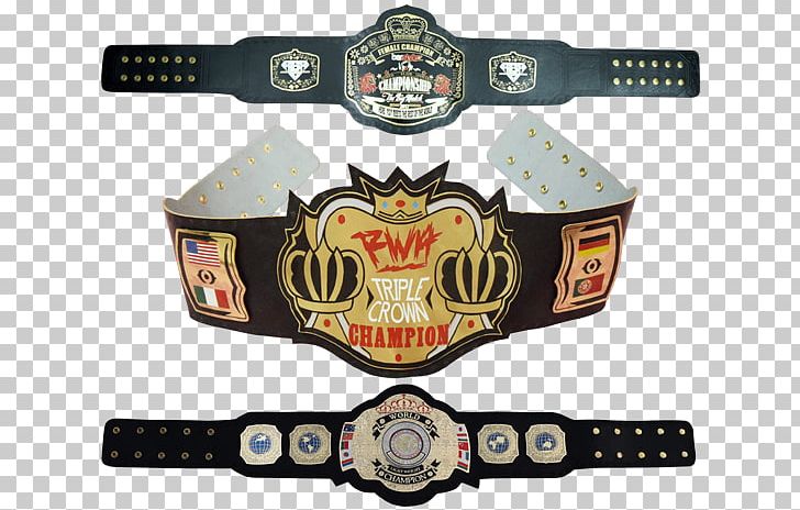 Championship Belt Professional Wrestling Championship PNG, Clipart, Award, Belt, Boxing, Buckle, Championship Free PNG Download