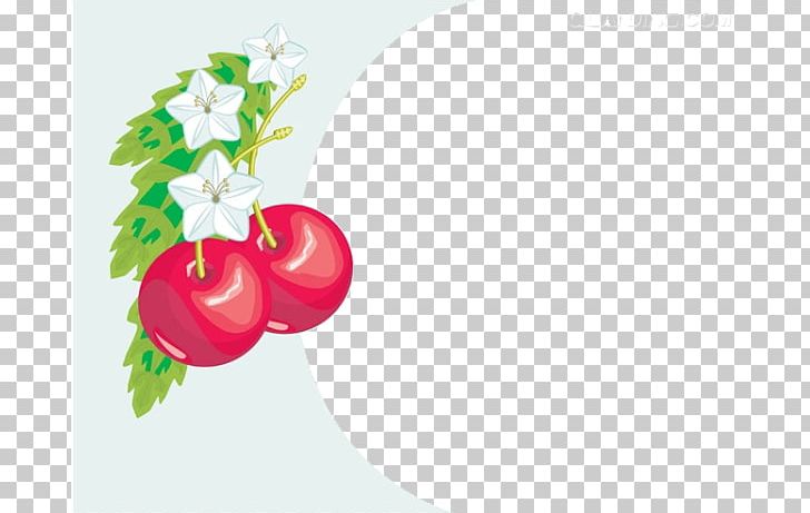 Cherry Photography Illustration PNG, Clipart, Aquifoliaceae, Auglis, Balloon , Cartoon, Cartoon Character Free PNG Download