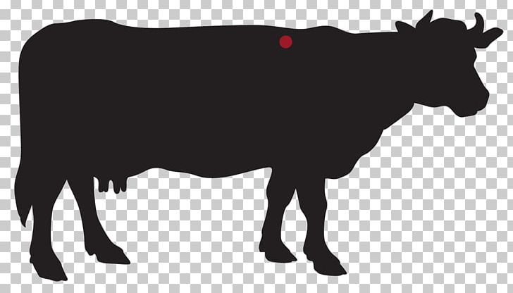 Holstein Friesian Cattle Jersey Cattle Dairy Farming Dairy Cattle PNG, Clipart, Beef, Black And White, Bull, Cattle, Cattle Like Mammal Free PNG Download