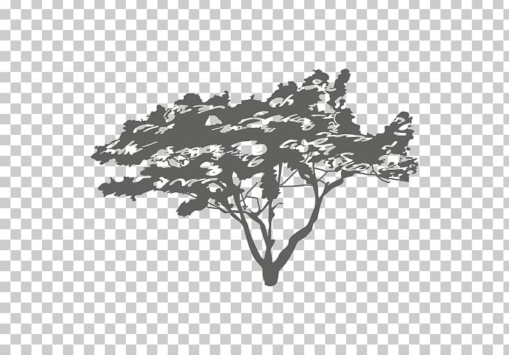 Branch Tree Silhouette PNG, Clipart, Black, Black And White, Branch, Computer Icons, Leaf Free PNG Download