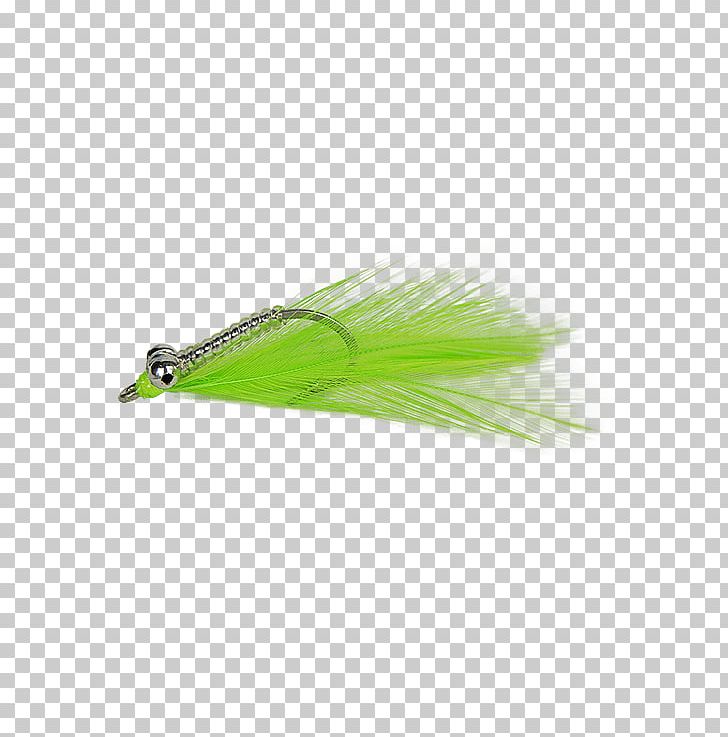 Fishing Baits & Lures PNG, Clipart, Charlie, Chartreuse, Crazy, Fishing, Fishing Bait Free PNG Download