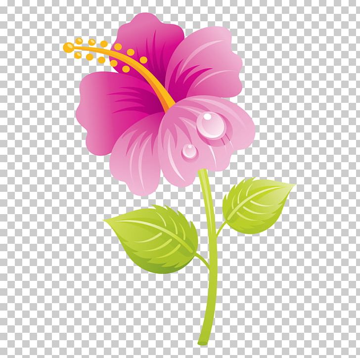 Flower Free Content PNG, Clipart, Annual Plant, Blog, Computer Icons, Download, Flowe Free PNG Download
