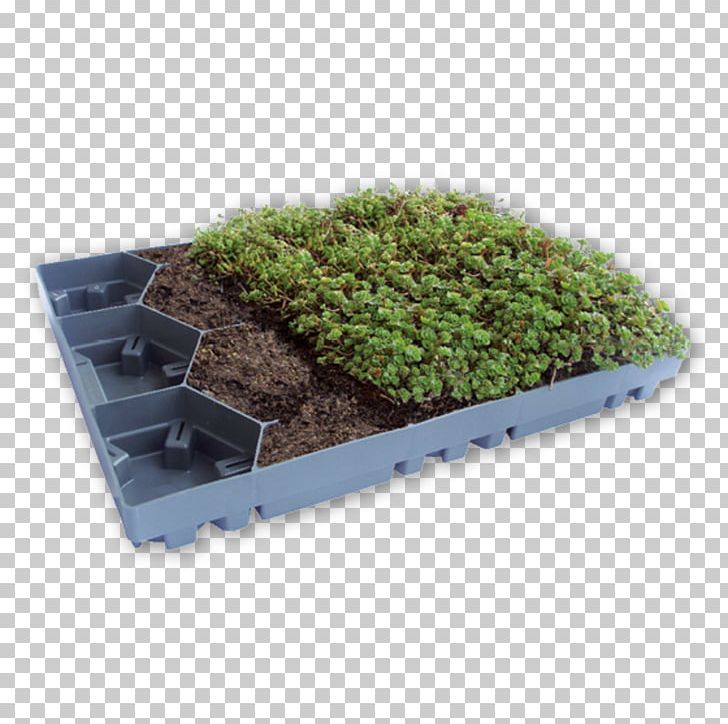 Green Roof Window Blinds & Shades Plastic Flat Roof PNG, Clipart, Ceiling, Dachdeckung, Epdm Rubber, Flat Roof, Flowerpot Free PNG Download