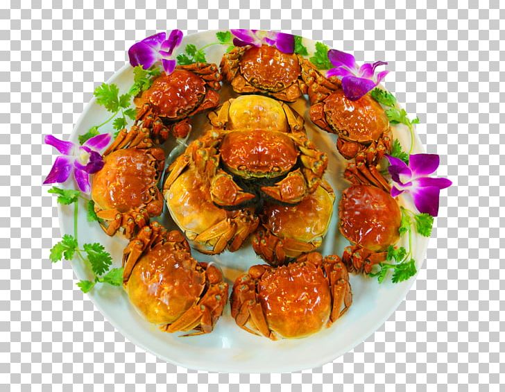Liangzi Lake Yangcheng Lake Large Crab Chinese Mitten Crab PNG, Clipart, Animals, Animal Source Foods, Asian Food, Cartoon Crab, China Free PNG Download