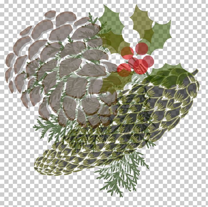 Spruce Christmas Ornament PNG, Clipart, Christmas, Christmas Ornament, Conifer, Fir, Holidays Free PNG Download