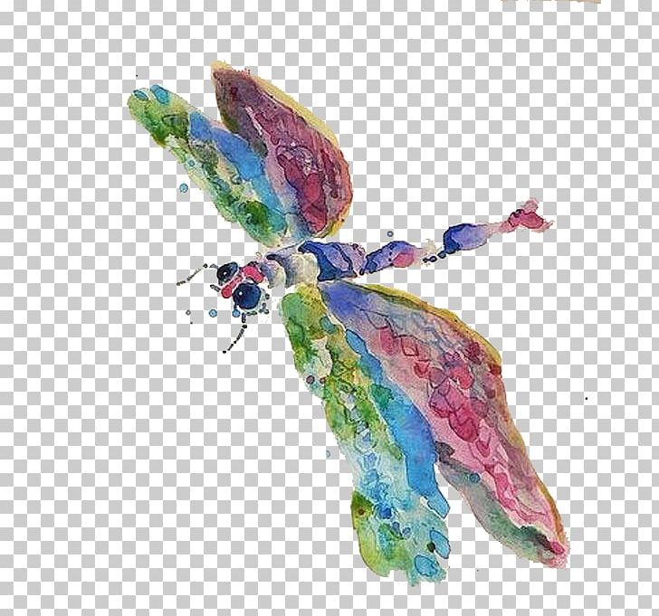 Watercolor Painting Animal Tencent QQ Avatar Illustration PNG, Clipart, Butterfly, Colored Pencil, Colorful Background, Coloring, Color Pencil Free PNG Download