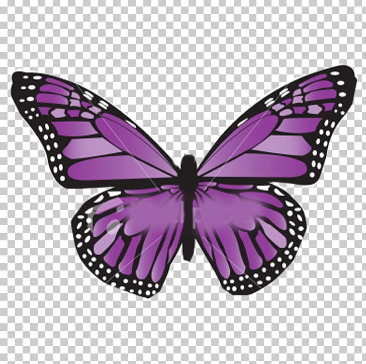 Cancer Awareness Ribbon Butterfly Tiki Match Lymphoma PNG, Clipart, Awareness, Awareness Ribbon, Brush Footed Butterfly, Butterfly, Cancer Free PNG Download